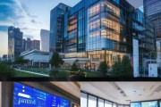 长春市领悦信息技术咨询有限公司，数字转型的坚定步伐