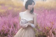 信息科技咨询服务助力宝鸡市社会发展