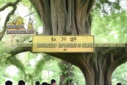 新乡树洞信息咨询服务，助力企业创新与发展