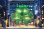 兰州区四叶草信息咨询服务，助力您精准找到市场