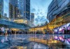尚鹏信息咨询服务，新会区经济发展的新引擎