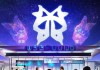 凌辰信息技术咨询工作室，蝶变之翼，未来之先驱