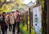 苏州信息咨询服务招聘，你是否还在等合适的人才？