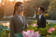 莲生与宇安，信息咨询服务领域的优质选择