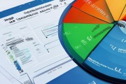 信息化咨询费用占比分析与优化建议