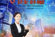 信宜市照阳信息咨询服务，助力企业发展与市场开拓