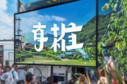 怒江信息咨询服务助力 local经济与文化繁荣