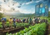 海南农业信息化咨询，赋能农业现代化，助力乡村振兴