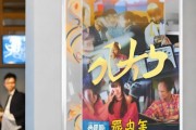 枣阳信息咨询服务招聘