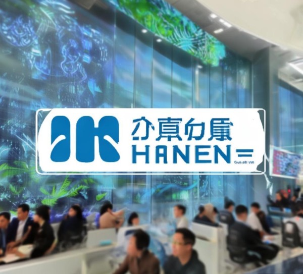 贵州汉森信息咨询服务，助力贵州高质量发展