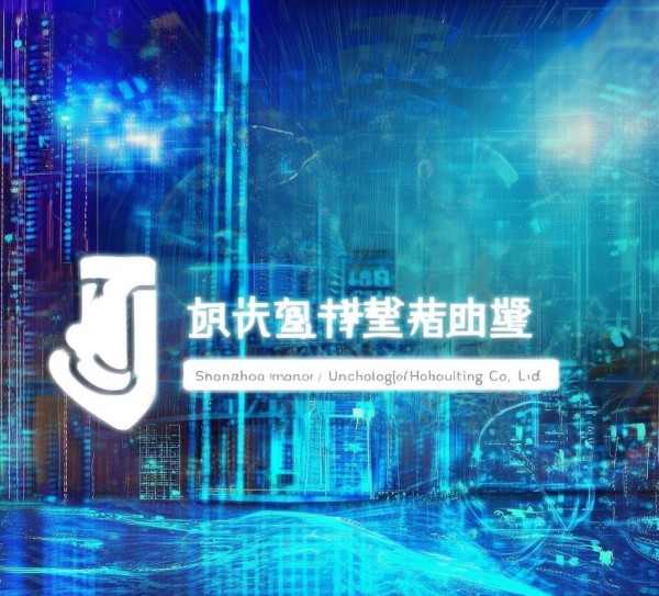 深圳市华冲信息技术咨询有限公司，助力企业数字化转型的创新力量