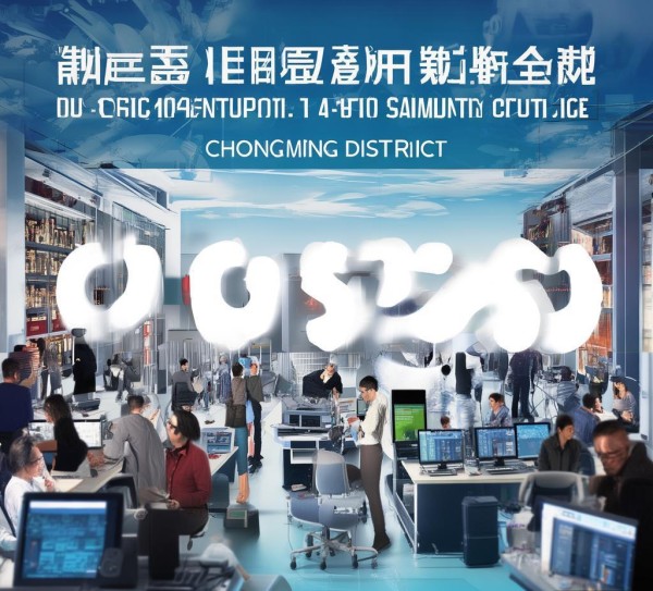 崇明区正规信息技术咨询热线，精准服务，创新发展
